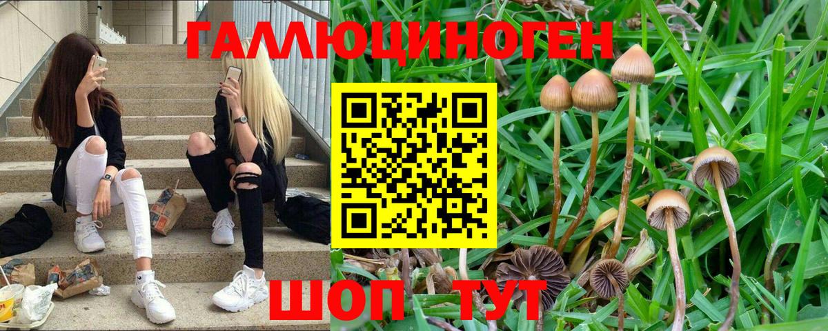 Галлюциногенные грибы Magic Shrooms Клин
